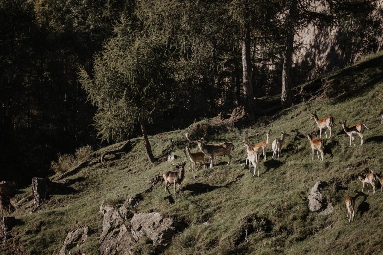 Parkhotel Matrei Matrei am Brenner Bagian luar foto